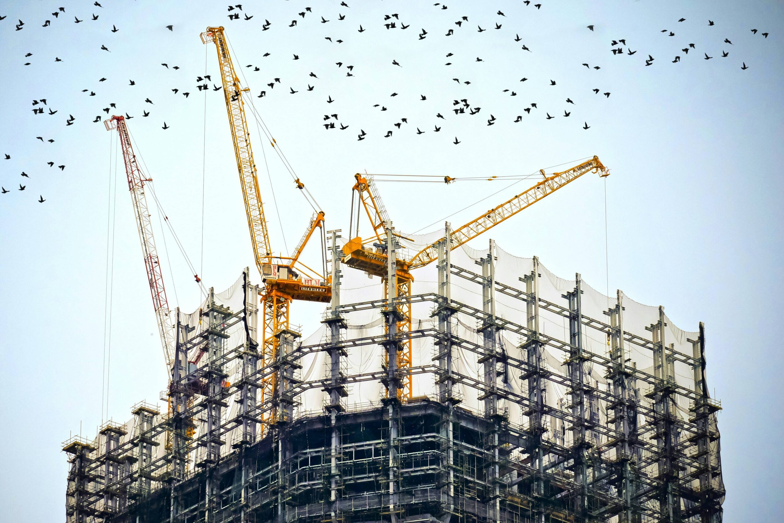 building services Building Services